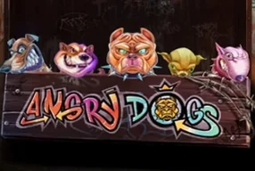 Angry Dogs